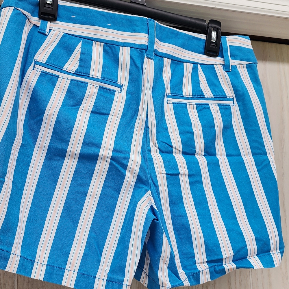 LOFT Blue and White Striped Women Shorts